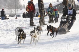 Lenk 2012 SM